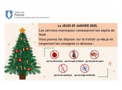 RAMASSAGE DES SAPINS LE JEUDI 9 JANVIER 2025